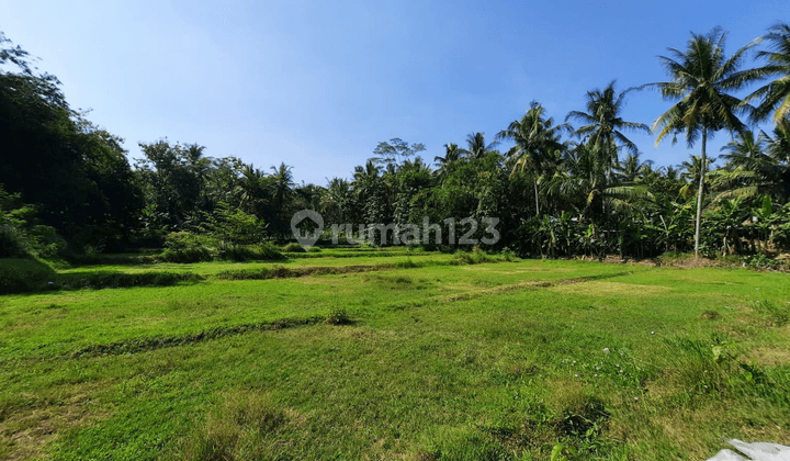 Tanah di Nanggulan, Kulon Progo, Dekat Wisata Menoreh  2