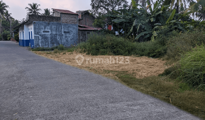 Dekat Kampus Uad Wates, Tanah SHM Kulon Progo Cocok Bangun Hunian 1