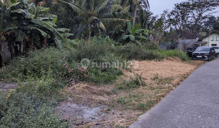 Dekat Kampus Uad Wates, Tanah SHM Kulon Progo Cocok Bangun Hunian 2