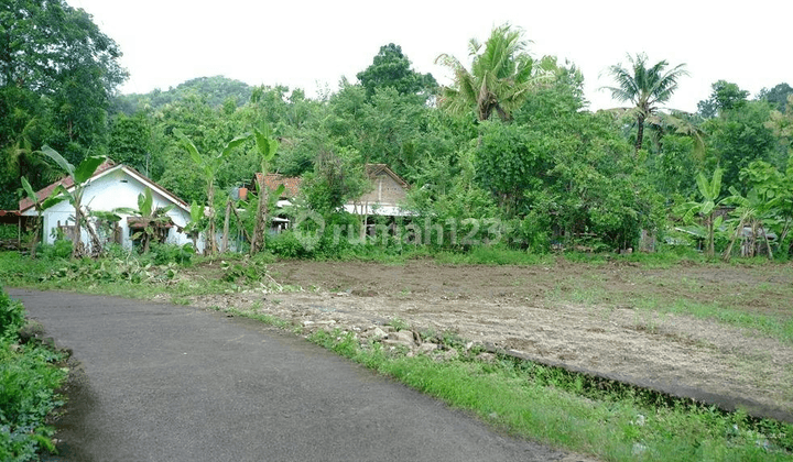 Tanah Imogiri, Bantul Yogyakarta Legalitas SHM Pekarangan