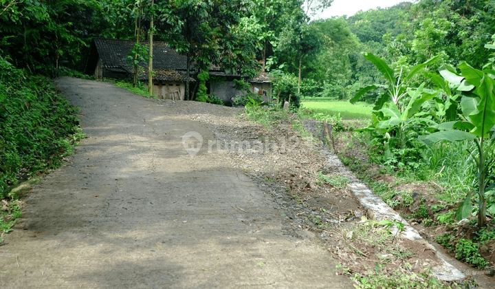 Tanah Murah Di Pleret Bantul Dekat Wisata Hutan Pinus Jogja