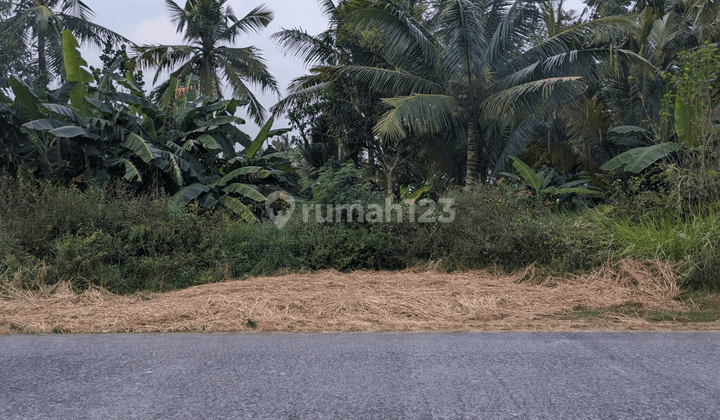 5 Menit Kampus Uny Wates Kulon Progo Tanah SHM Siap Bangun Hunian 2