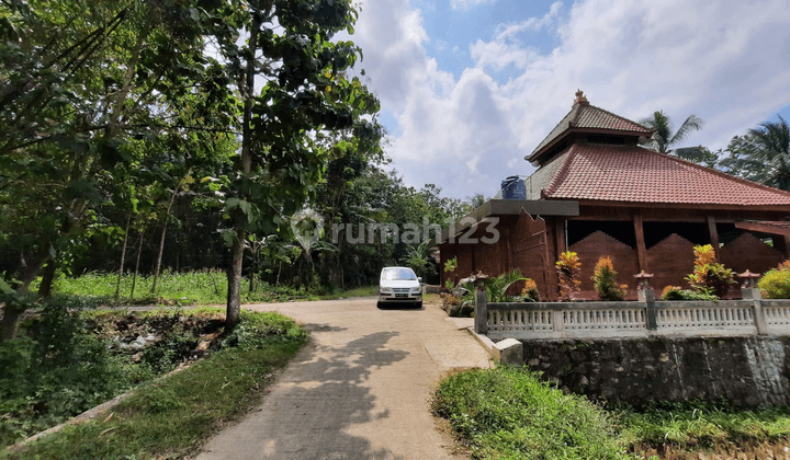 Tanah Jogja Siap Ajb Dekat Rs Queen Lathifa Sentolo Kulon Progo 2