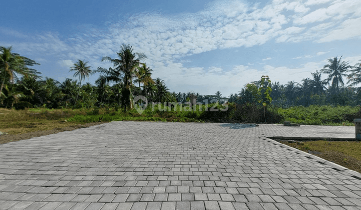 Tanah Jogja Area Bandara YIA Di Pengasih Kulon Progo Akses Jalan Provinsi 2