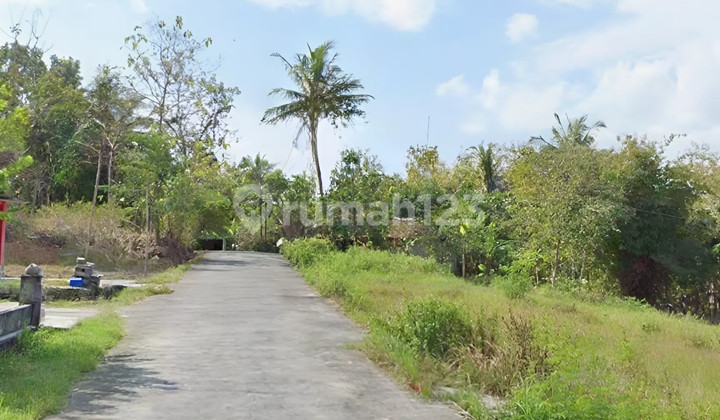 Barat Kampus Umy Tanah Murah Jogja Di Balecatur Area Exit Tol Gamping Sleman