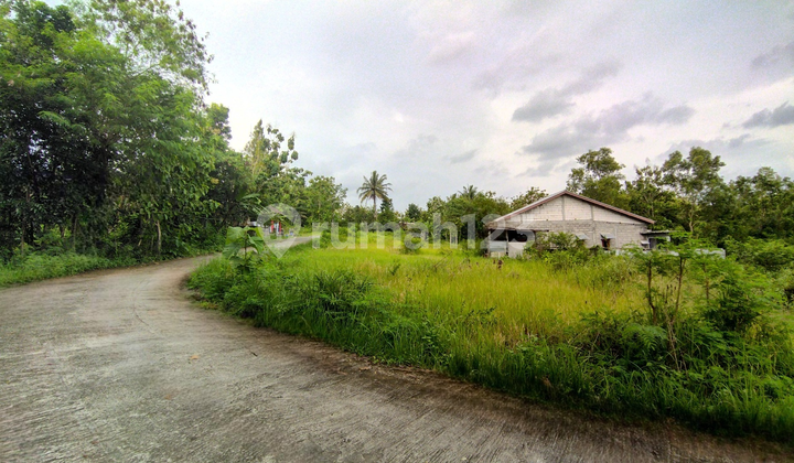 Tanah Murah Jogja Di Balecatur Dekat Kampus Umy Area Jl. Wates Km 8 Sleman