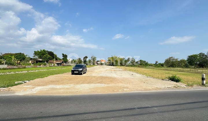 For Sale Prime Land Along Main Road in Sidokarto, Godean, Sleman, Yogyakarta Excellent Road Access