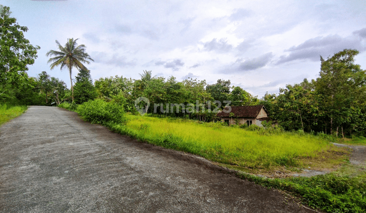 Tanah Apik Balecatur Dekat Kampus Umy Area Jl. Wates Km 8 Sleman 2