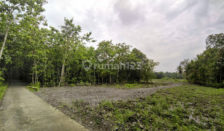 Tanah Area Rs Queen Lathifa & Tol Banguncipto Sentolo Kulon Progo 2