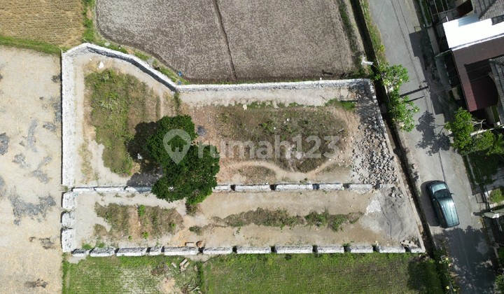 Scenic Land Area Jl. Peaceful Neighborhood with Cafe and Homestay Rice Field View Scenic Land Area Jl. Peaceful Neighborhood with Cafe and Homestay Rice Field View