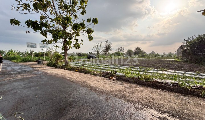 Tanah Ngaglik Aspal Mobil Papasan Dekat Klidon Cocok Kos Eksklusif Tanah Ngaglik Aspal Mobil Papasan Dekat Klidon Cocok Kos Eksklusif