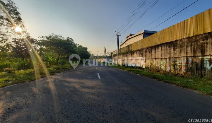 Dijual Tanah Strategis Dekat Kawasan Industri Sentolo Kulon Progo Dijual Tanah Strategis Dekat Kawasan Industri Sentolo Kulon Progo