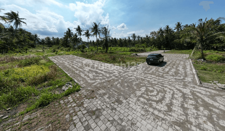 Tanah Jogja Area Bandara YIA Di Pengasih Kulon Progo Akses Jalan Provinsi 1