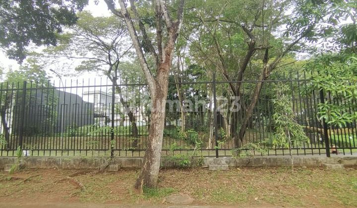 Simplicity Plot Southeast Corner 12 million/m2