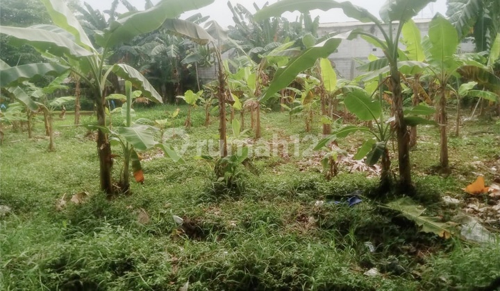 Tanah Kavling Joglo Meruya Selatan Jakarta Barat Luas Tanah 1300 Hoek Hadap Timur Dan Selatan Cocok Buat Usaha Lokasi Pinggir Jalan Minl Sewa 2 Tahun Tanah Kavling Joglo Meruya Selatan Jakarta Barat Luas Tanah 1300 Hoek Hadap Timur Dan Selatan Cocok Buat Usaha Lokasi Pinggir Jalan Minl Sewa 2 Tahun