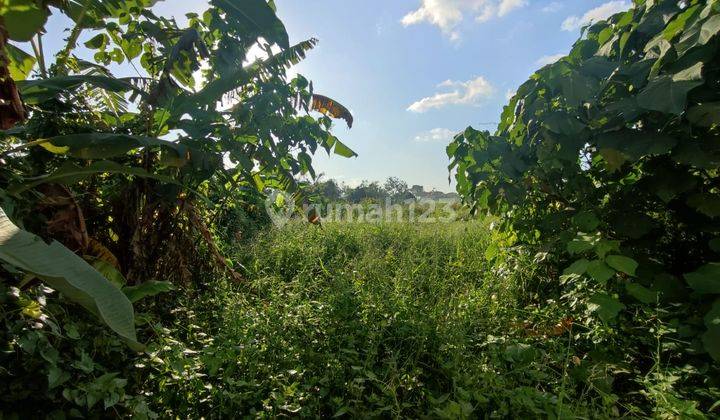 Tanah Slot Kecil Komersil Link Villa Padang Linjong 9