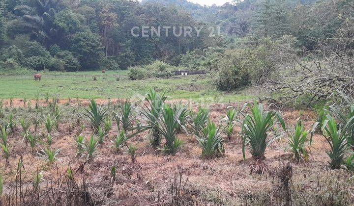 Tanah Luas Lokasi Strategis Di Poros Maros-Gowa S8188 2