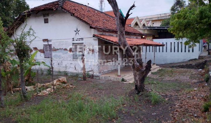 Rumah Tua Hitung Tanah Depan Jalan Pantura Tegal  Bebas Banjir 2