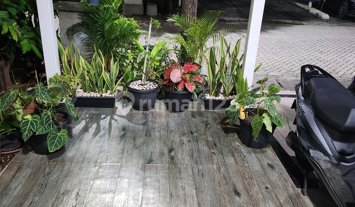 Rumah Green Lake City Cluster Amerika, Tangerang. Rapi Siap Huni. 2