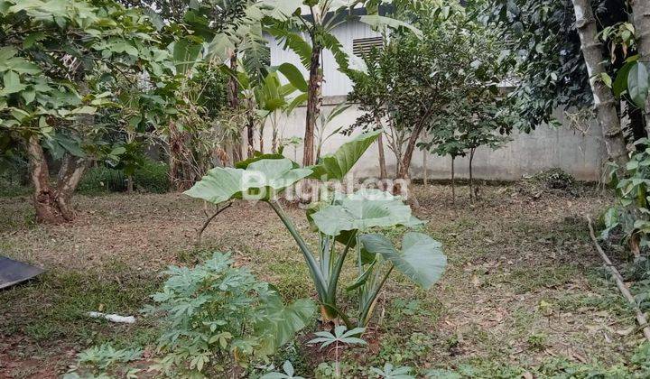 RUMAH DI LINGKUNGAN PEMUKIMAN, SUASANA MASIH HIJAU 2