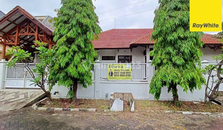 Disewakan Rumah Strategis di Jl Gayungsari Barat Surabaya 1