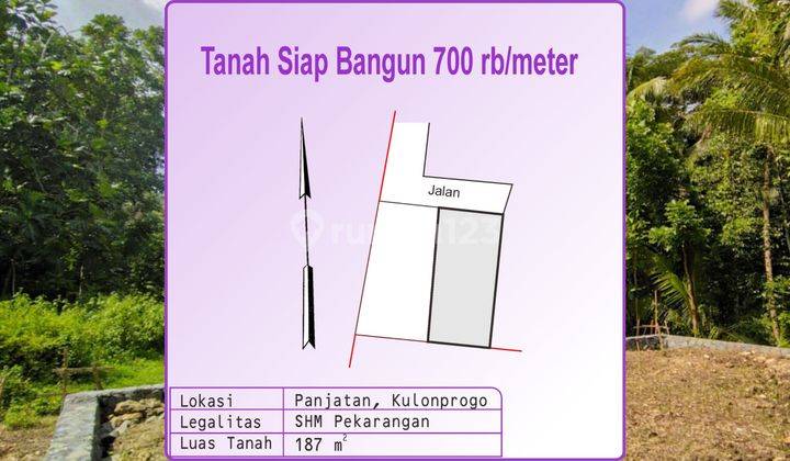 Tanah Cocok Hunian Wates, Murah : 700Rb/m², SHM 1