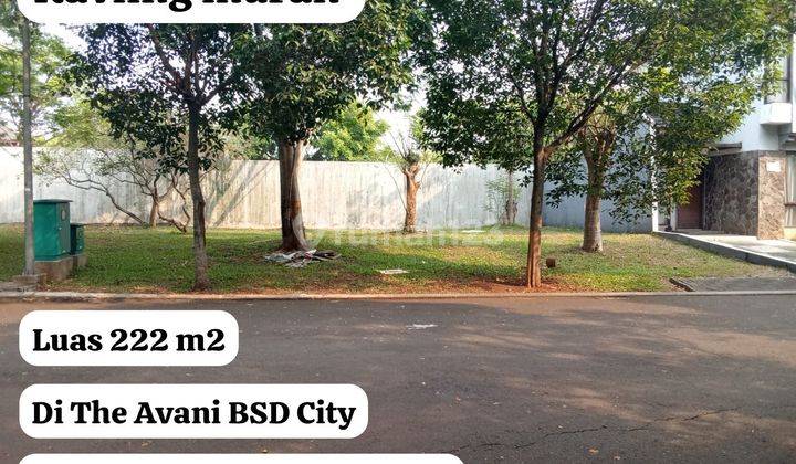 Tanah Kavling Strategis di Bsd Avani, Tangerang  1