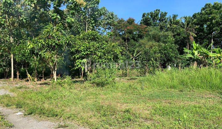 Tanah Kavling Kulon Progo Selatan Uny Kampus Wates Luas Ideal, 140 An M2  6