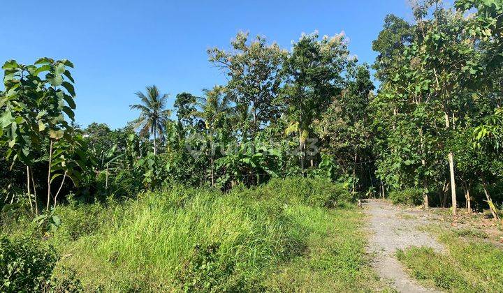 Tanah Kavling Dijual Selatan Uny Kampus Wates Kavling Rapi Berhadapan  3
