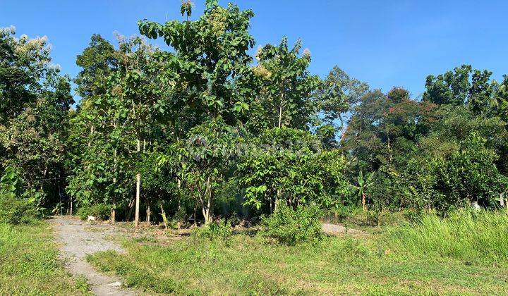 Tanah Kavling Dijual Selatan Uny Kampus Wates Kavling Rapi Berhadapan  5