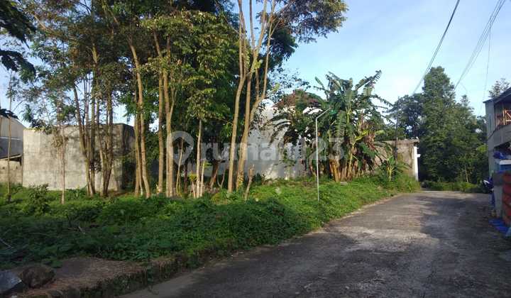 Utara Kampus Ugm Jogja, Tanah Sleman Cocok Bangun Kost 2
