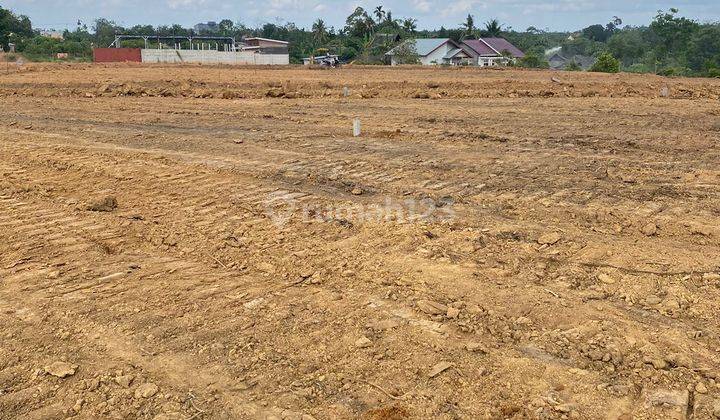 Jual Cepat Tanah Kebun 9 Surat SHM Per Kapling  3