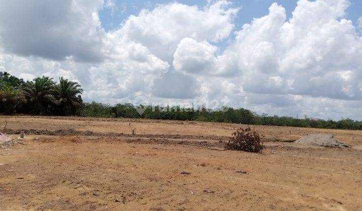 Jual Cepat Tanah Kebun 9 Surat SHM Per Kapling  4