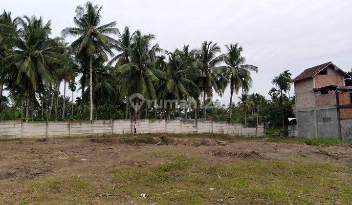 Tanah Kavlingan Siap Bangun Lokasi Asparagus Mayang 16 2