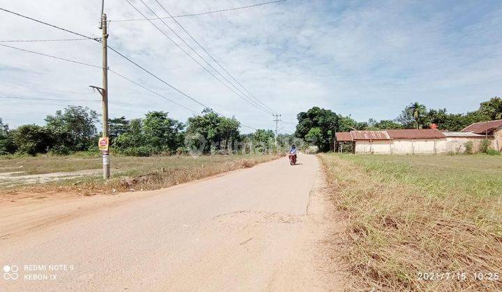 Tanah Sertifikat Lokasi Kebun 9, Harga 15 Juta tumbuk 1