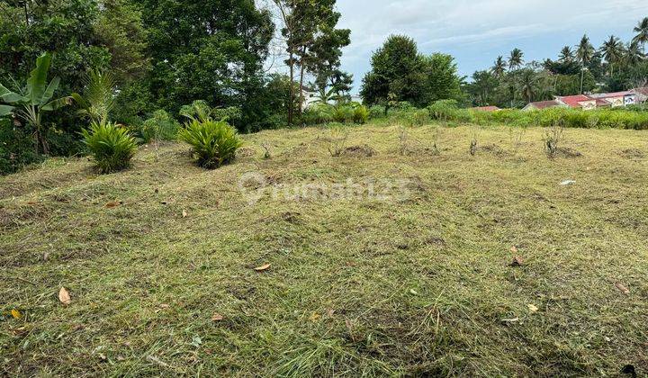 Tanah Murah Mayang Kebun Daging 1