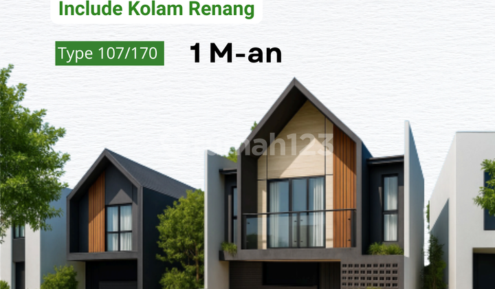 Type 107/214, Mayang Kebun Daging Jambi Type 107/214, Mayang Kebun Daging Jambi