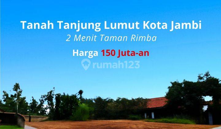 Tanah Premium Tanjung Lumut Jambi 1