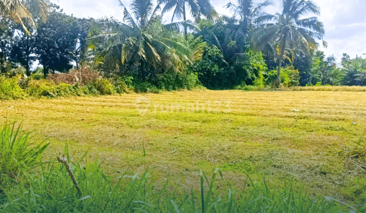 Tanah Kaplingan Murah Talang Jering Kenten 1