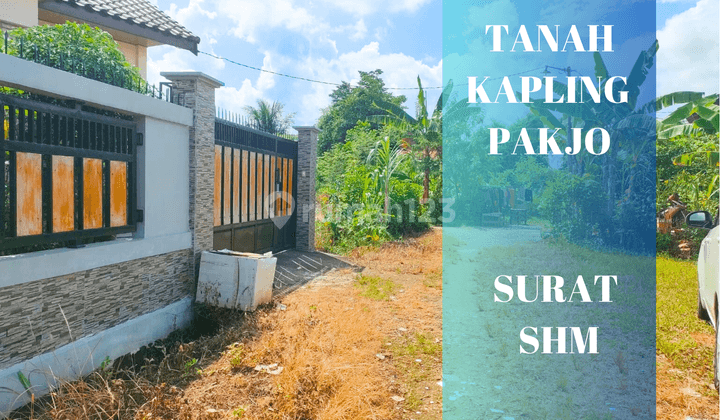 Tanah Kapling Murah Daerah Pakjo Palembang  1