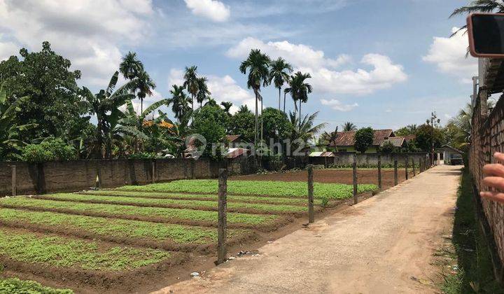 Tanah Murah Luas Talang Keramat  6