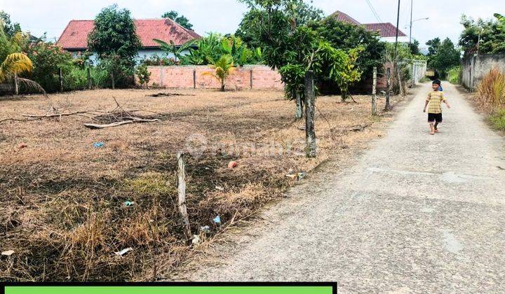 Tanah Kapling Murah Sematang Borang 70 Jt  1