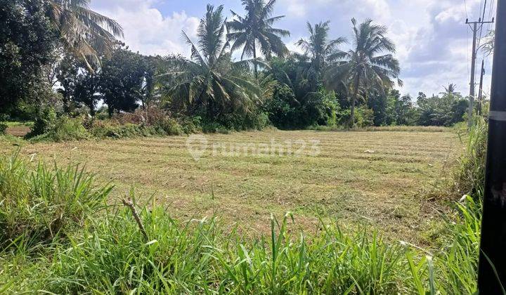 Tanah Luas Siap Bangun Surat Aman  2