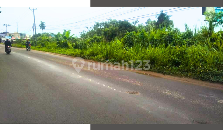 Tanah Untuk Usaha Pinggir Jalan  1