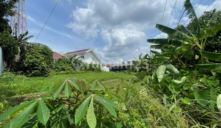 Tanah Murah Kota Palembang Dekat Kampus Stan dan Bakso Sony Tanah Murah Kota Palembang Dekat Kampus Stan dan Bakso Sony