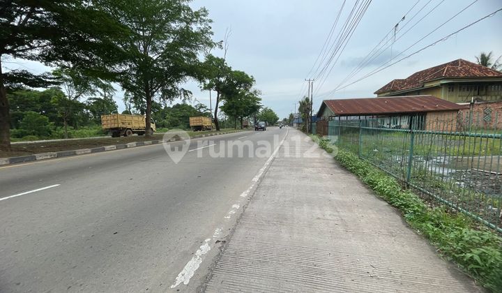 Cheap Land by the Roadside Near Palembang Toll Road. Cheap Land by the Roadside Near Palembang Toll Road.