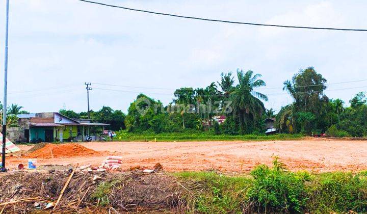 Tanah Murah Di Palembang Area Sekojo Ujung  1