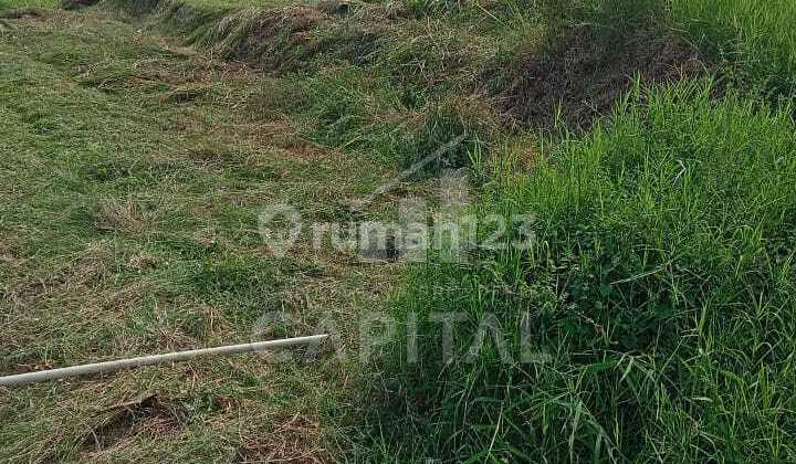 Tanah Cisalak Good Invest cocok jadi Perumahan