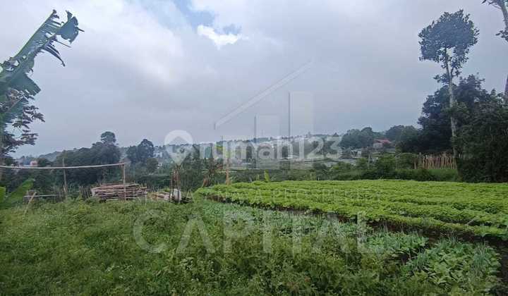 Tanah Kolonel Masturi Cocok untuk Villa dan Kebun