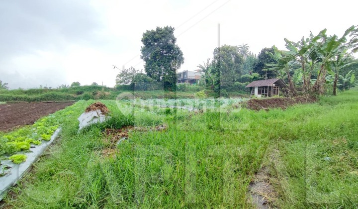 Turun Harga Lagi Murah Dibawah Harga Pasar Tanah di Kawasan Sejuk Sayap Setiabudi Regency